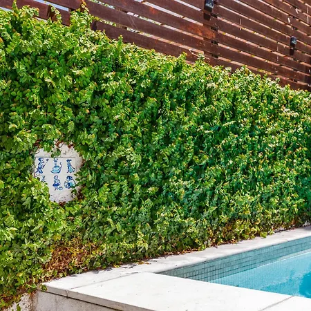 Haus Abel - Pool, Parking And Garden In The Heart Of Вилла *