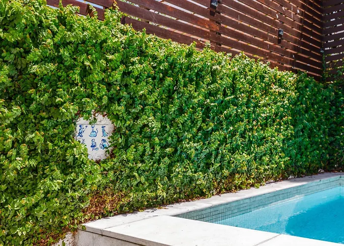 Haus Abel - Pool, Parking And Garden In The Heart Of וילה *